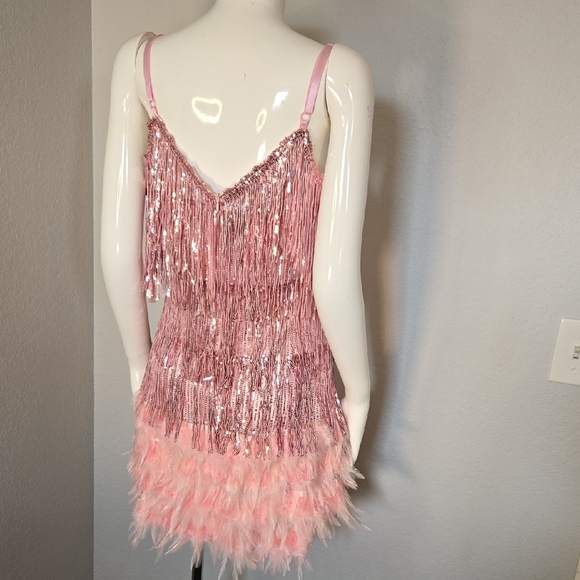 Pink Sequin Fringe Dress - Picture 5 of 6